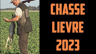 CHASSE AUX LIEVRES 2023