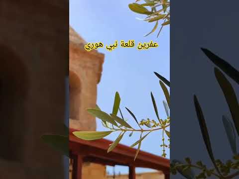 عفرين قلعة نبي هوري