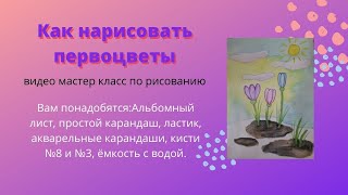 Как нарисовать первоцветы. кандыки