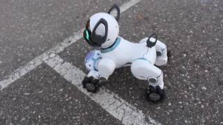 Wowwee Chip Robot Dog Blogger Review