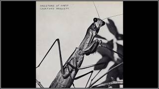 Courtney Barnett - Mantis