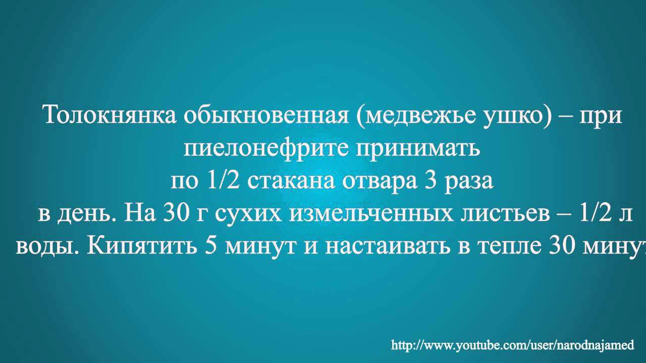 Лечение пиелонефрита народными средствами - YouTube
