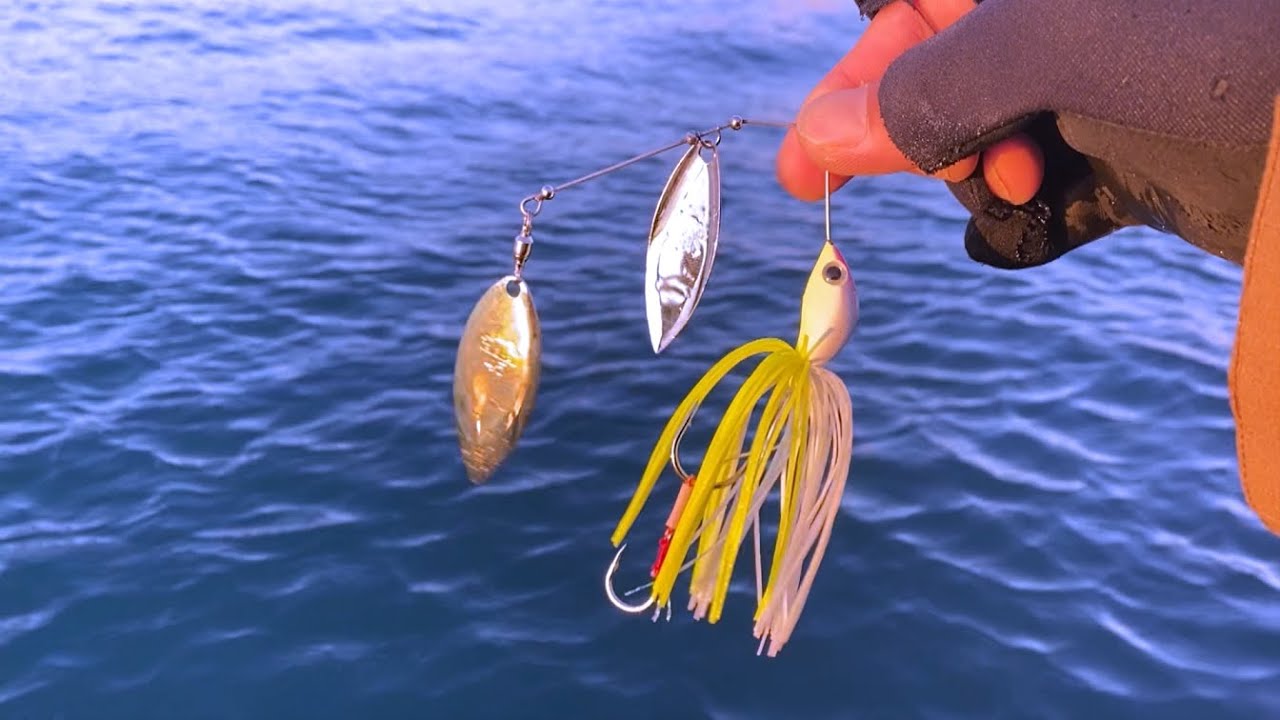 海でスピナーベイト Youtube