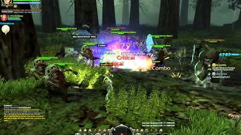 Dragon Nest OB Dread Forest