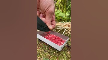 Bomb from matches 💣 #asmr #bushcraft #survival #forest #camping #skills #experiment #bomb