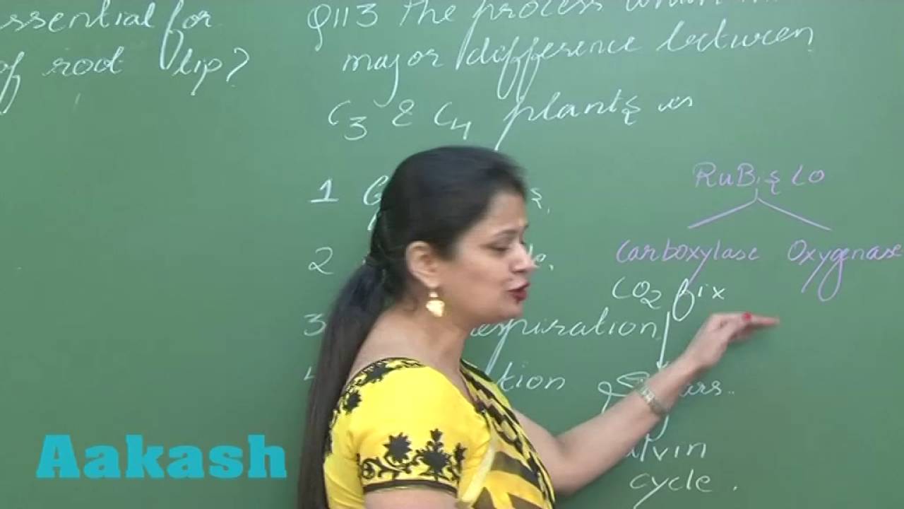 NEET-UG Phase 2 2016 - Video Solution for Biology questions 110 to 114