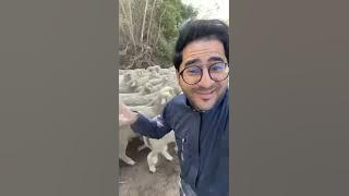 مطاعم ومطابخ الغمغام.. عرض بـ ١٣٩ ريال