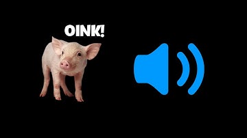 Pig Sound Effects (HD) | Free Sound Pack | No Copyright Sounds