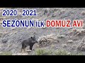 Türkiyenin En iyi Domuz Avı Grubu | Advanturehunter | Wild Boar Hunting vlog#4