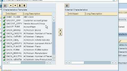 SAP Training Online -How to create hierarchies Pt2
