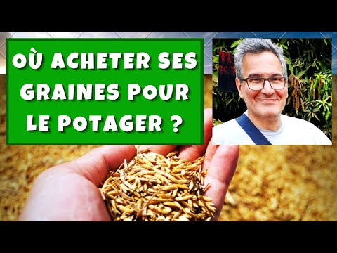 Vidéo: Fumewort Plant Info - Comment faire pousser de la fumewort commune dans le jardin