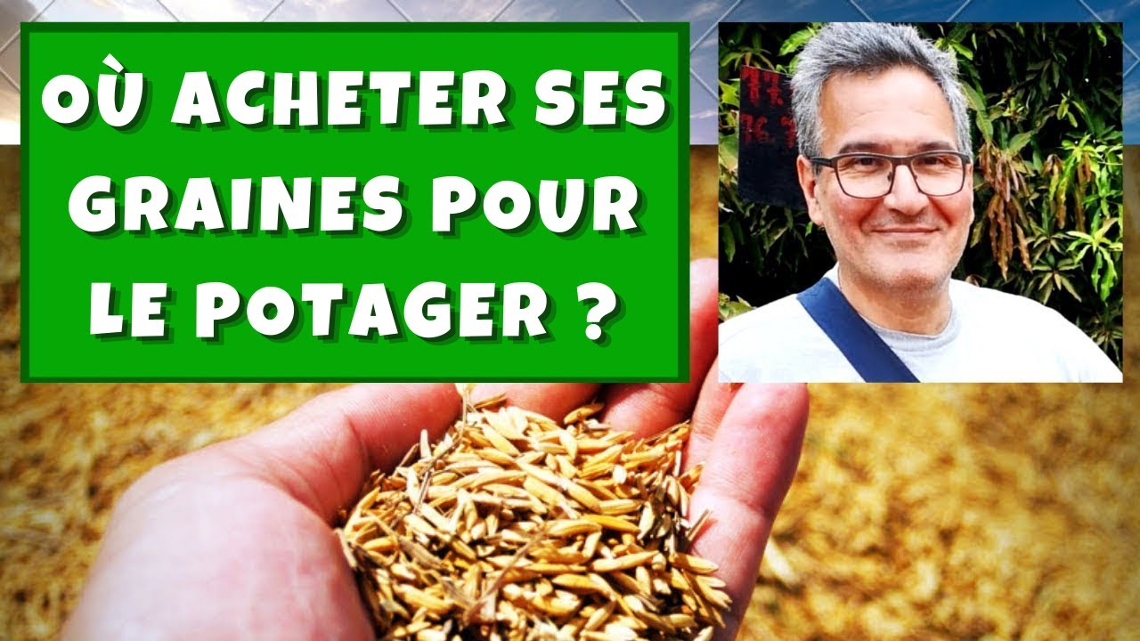 7 façons de trouver des graines pour le potager !