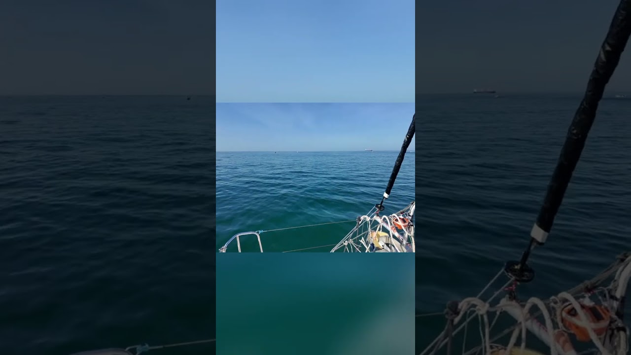Spanish Fishing: Why They Fish in Marinas #shorts