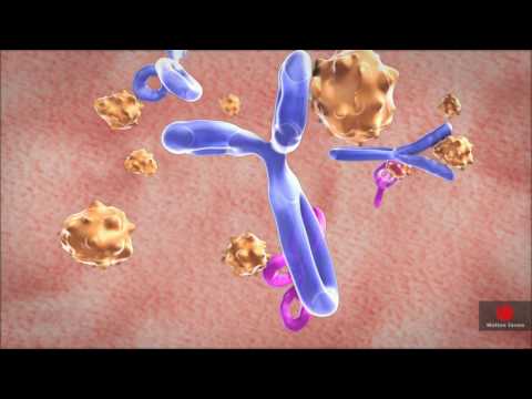 Rheumatoid arthritis and tumor necrosis factor - Weber Shandwick