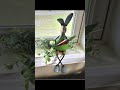 Recycled Metal Sale March 2025