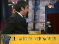 El Gato de Verdaguer 1