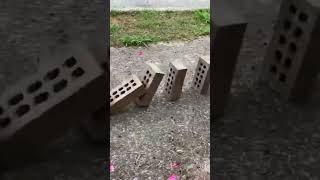 Double Domino Trick - 101 Bricks
