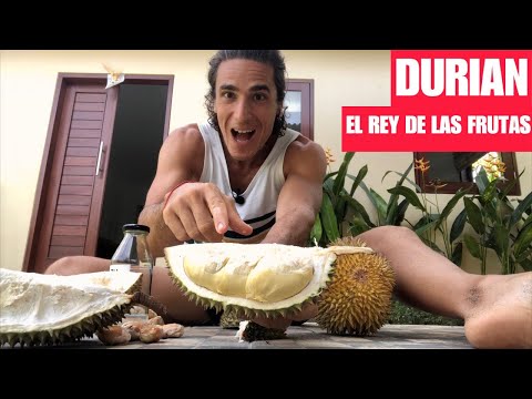 Video: Durian Es El Rey De Las Frutas