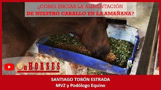 CÓMO INICIAR LA ALIMENTACIÓN DE NUESTRO CABALLO EN LA MAÑANA | On HORSES | Santiago Tobón Estrada