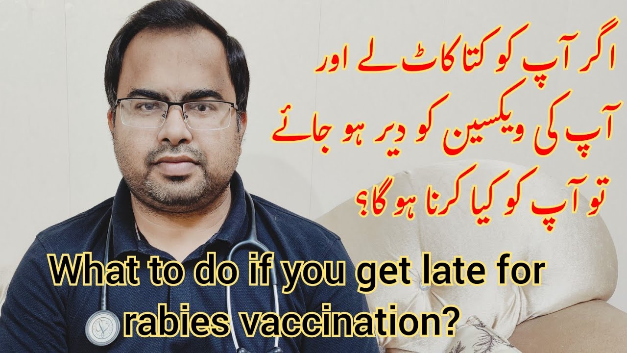 Anti Rabies Vaccine What To Do If You Get Late For Anti Rabies Anti Rabies Vaccine What To Do If You Get Late For Anti Rabies