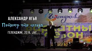 Александр Ягья — Потому что нельзя (LIVE, 2019)