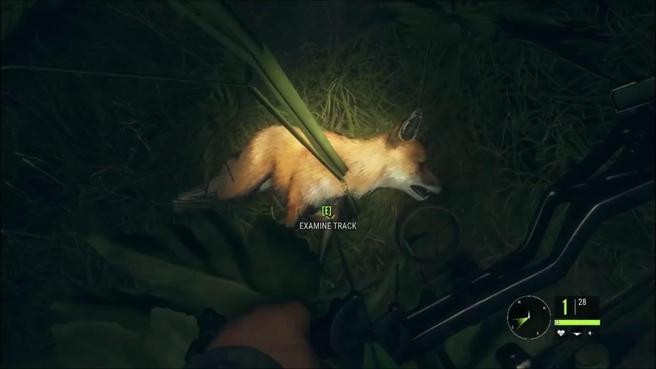 Harvest Fox with a Bow Spreeberg COTW YouTube