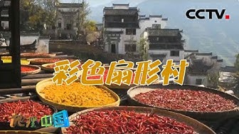 奇形古宅 Youtube