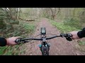 Sonntags, 08:00, Wald, Amflow und ich 🤣