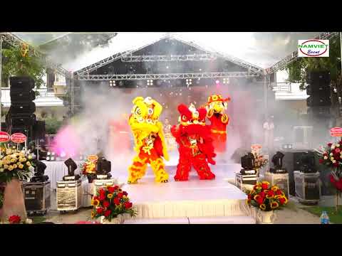 Múa Lân mới nhất năm 2020 - Múa lân sự kiện Múa lân Trung thu | Dragon lion dance | Foci