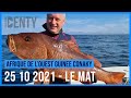 Chasse sousmarine en guine conakry au guinea fishing camp 2021