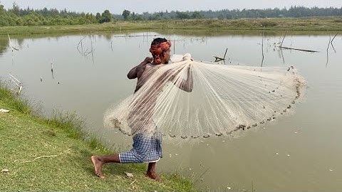 Best Net Fishing Video - Traditional Catching Fish in The River 