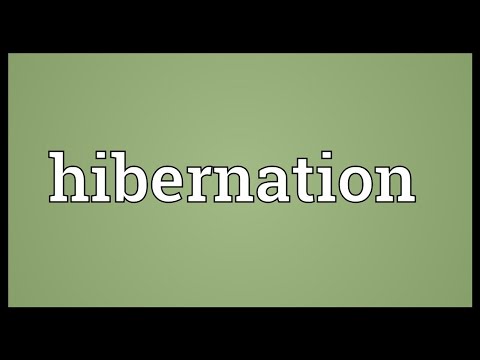 Hibernation Meaning