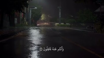{ لَقَد كَانَ فِي يُوسُفَ وَإِخوَتِهِ آيَاتٌ لِلسَّائِلِينَ } ، سوره يوسف شريف مصطفى 🤍.