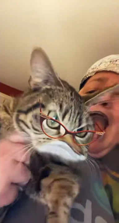 Say hello to my little pussy!!! 🤣🤣🤣🤣❤️💕🦄🌈✊🏿♿️💋