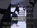 Funny Penguin Chase, Female Penguin Escapes Male Penguin’s Pickup Lines! #youtubeshorts #funnyvideo