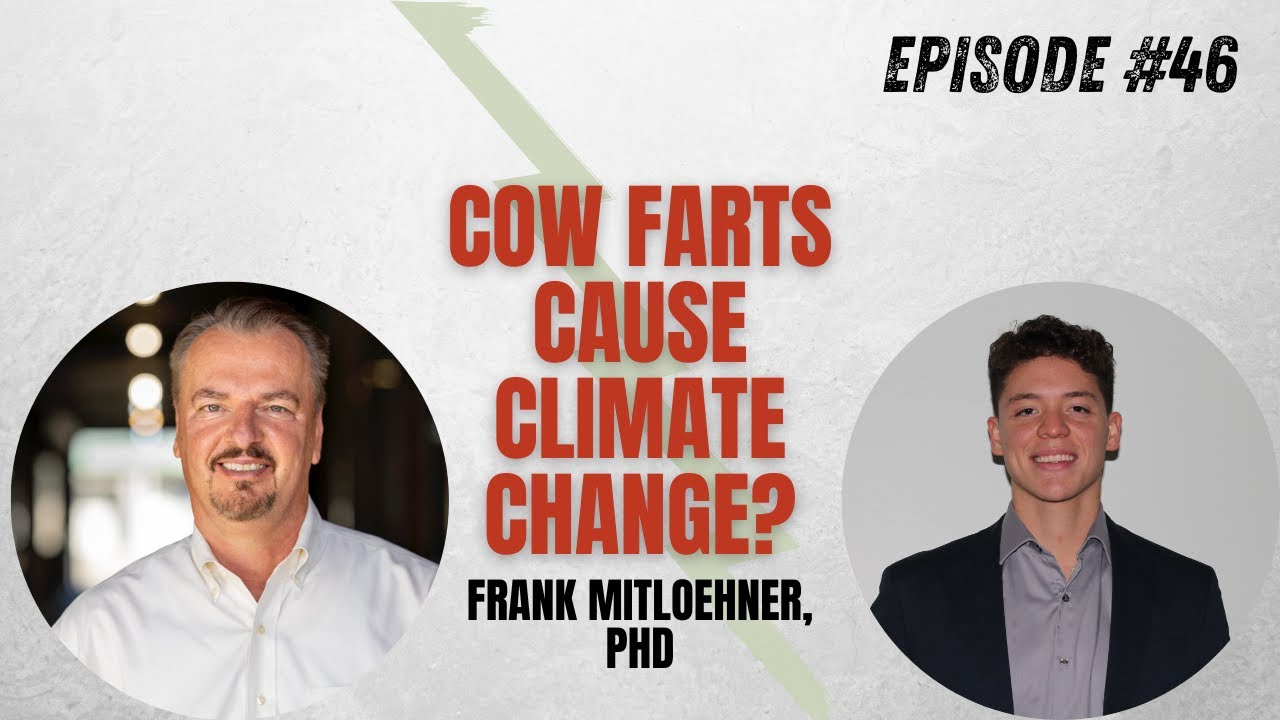 #46 Grass Fed vs Grain Fed Beef, Cow Farts, and How to Eat Sustainably ...