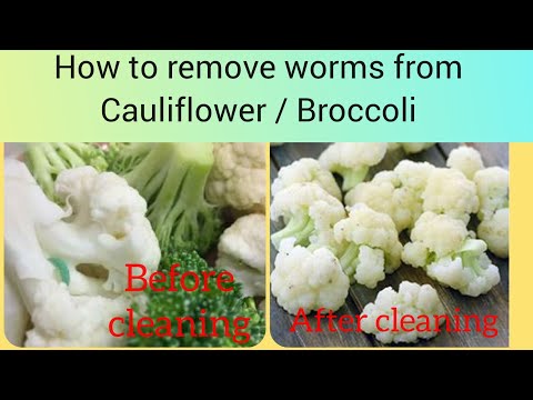 How to remove worms from Cauliflower / Broccoli