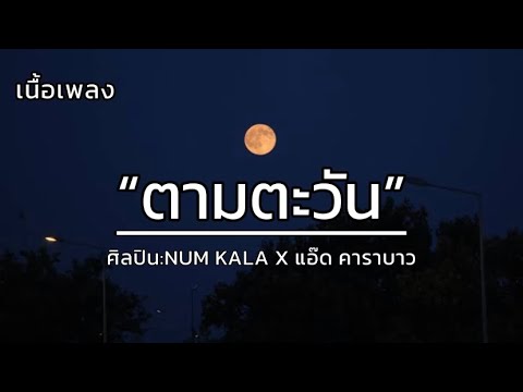 ตามตะวัน - NUM KALA X แอ๊ด คาราบาว [เนื้อเพลง]