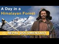 A Day In A Himalayan Forest | Documentary Film Nepal