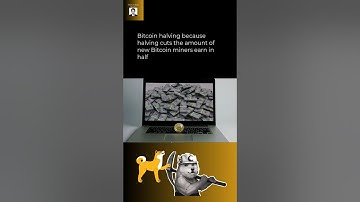 Why is bitcoin network fee so high? #shorts