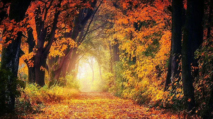 Gerald Finzi - The Fall of the Leaf - Elegy for Or...