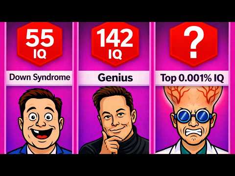Every Level Of Intelligence | Comparison