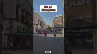 Mas De Guadalajara -