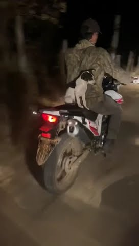 Kiko en moto 🐶🏍️