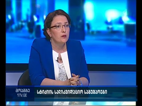 სტიქია და მისი შედეგგები - \"მოამბის\" შეკითხვებს თავდაცვის მინისტრმა უპასუხა