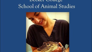 Becker College: Animal Studies