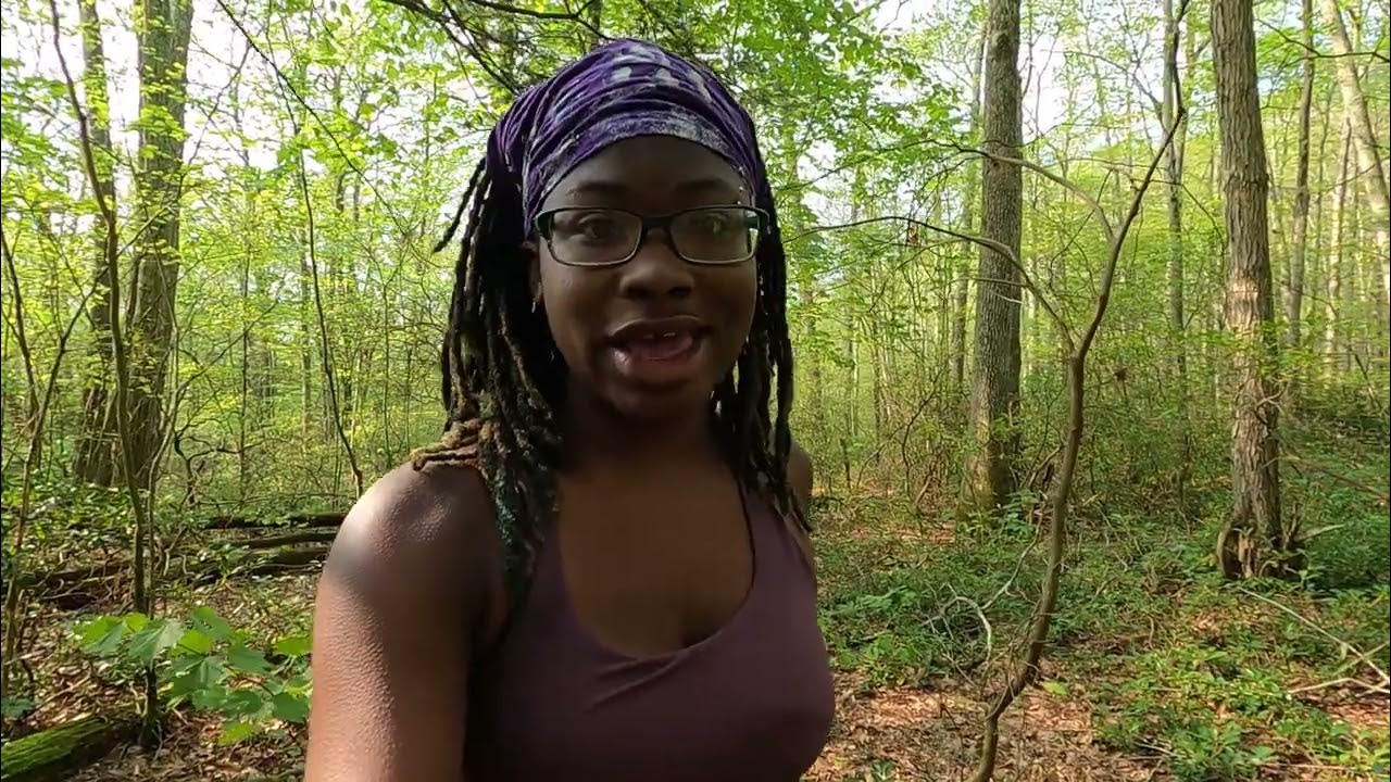 How to properly poop in the woods! YouTube