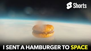 I Sent A Hamburger To Space 318