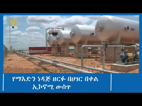 የማእድን ነዳጅ ዘርፉ በሀገር በቀል ኢኮኖሚ ውስጥ