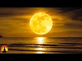 🔴 Relaxing Sleep Music 24/7, Healing Music, Yoga, Meditation, Sleeping Music, Study Music, Sleep